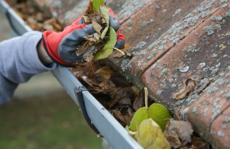Gutter Cleaning Cost in Denver, CO: Complete 2025 Pricing Guide